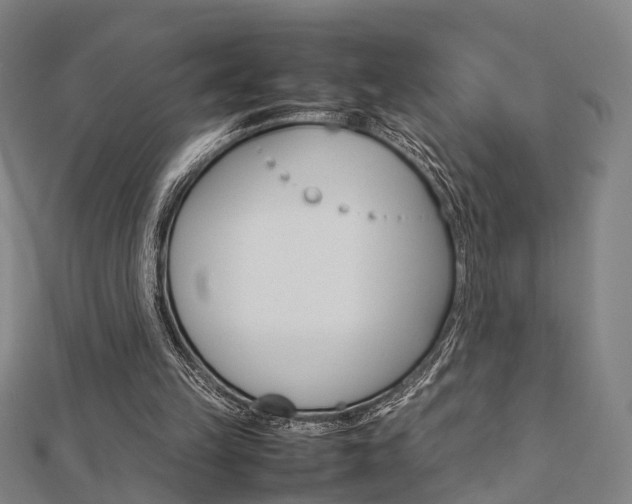 X0000112730149200908201021