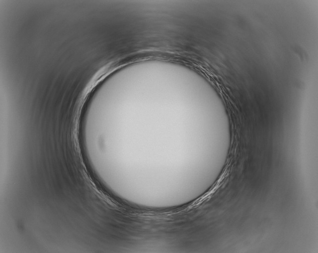 X0000112730150200908201021