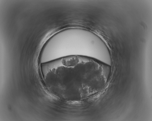 X0000112730151200908201021