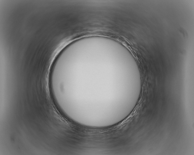 X0000112730152200908201021