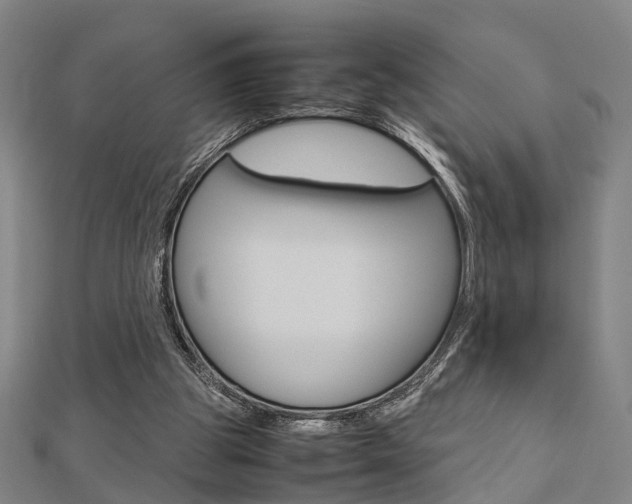 X0000112730153200908201021