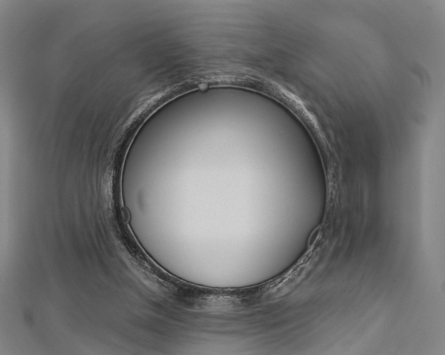 X0000112730154200908201021