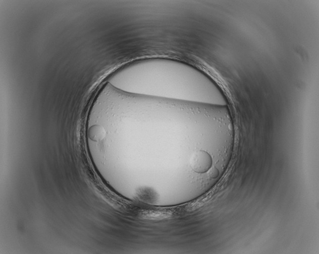 X0000112730155200908201021