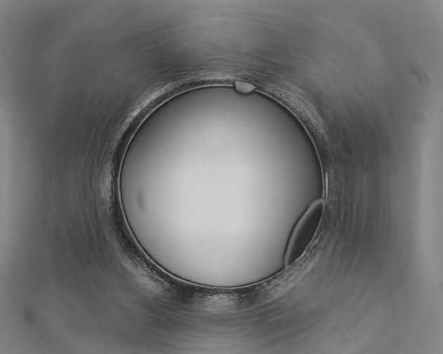 X0000112730156200908201021