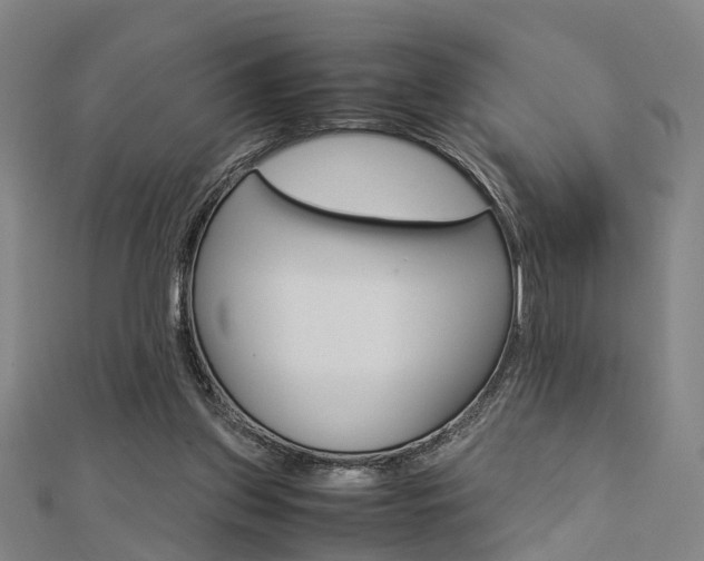 X0000112730157200908201021