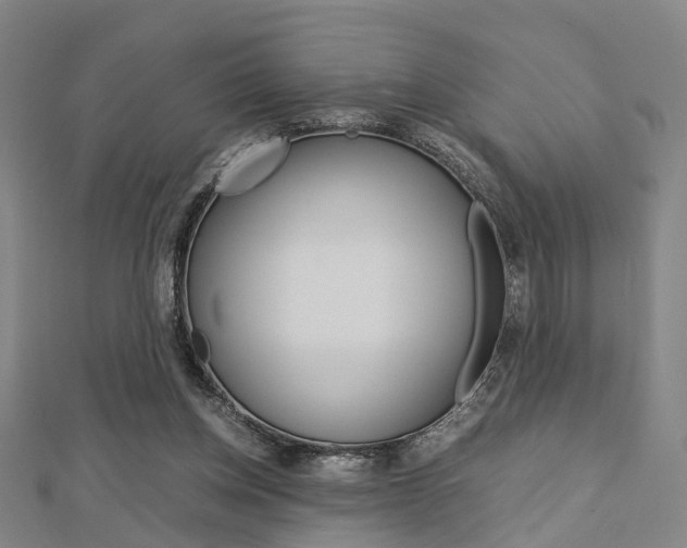 X0000112730158200908201021