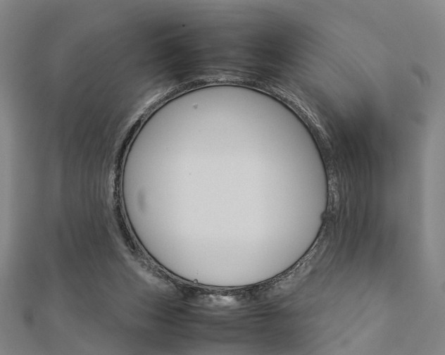 X0000112730159200908201021