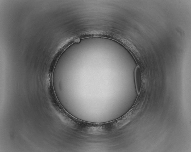 X0000112730160200908201021