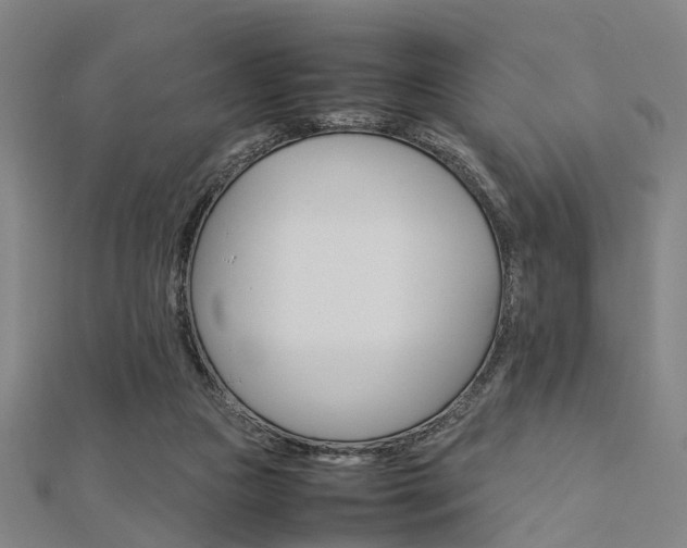 X0000112730161200908201021