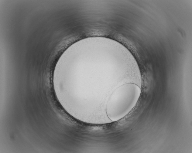 X0000112730162200908201021