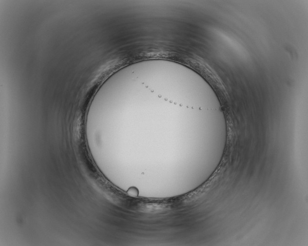 X0000112730163200908201021