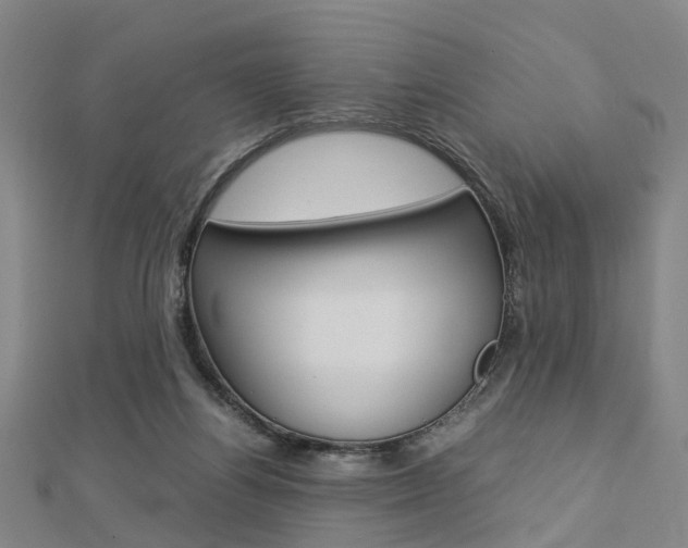 X0000112730164200908201021