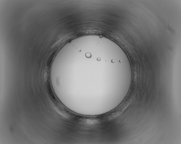 X0000112730165200908201021