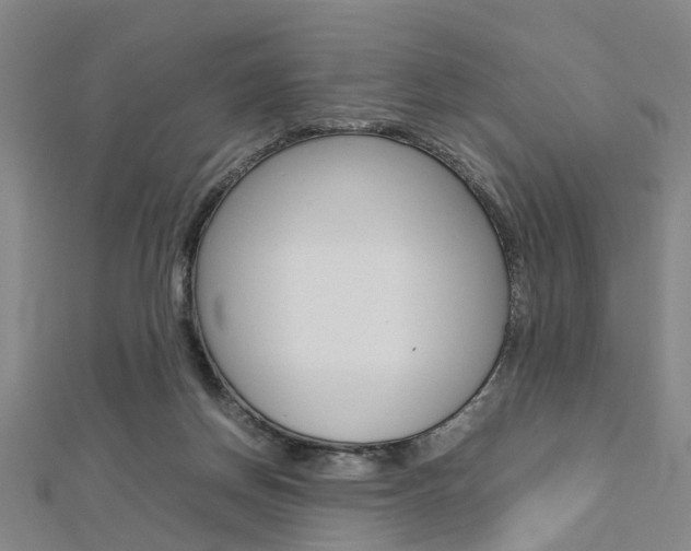 X0000112730166200908201021