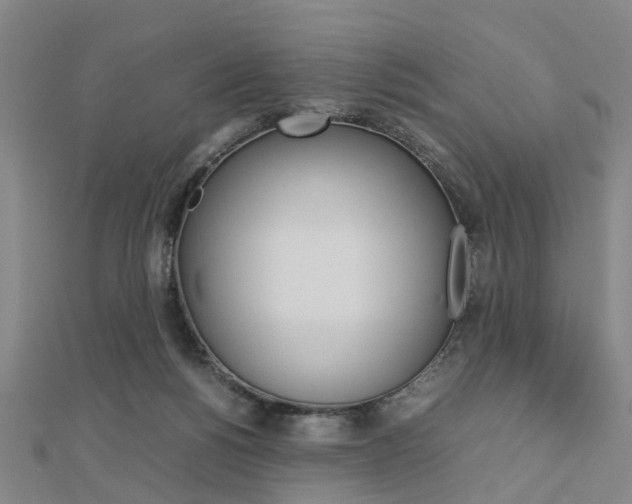 X0000112730168200908201021