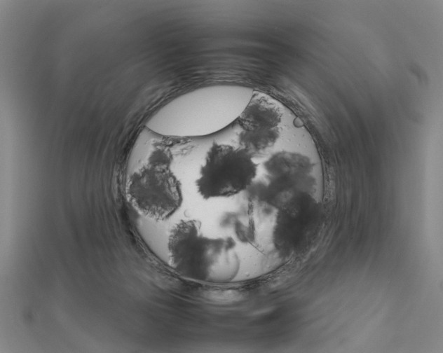 X0000112730169200908201021