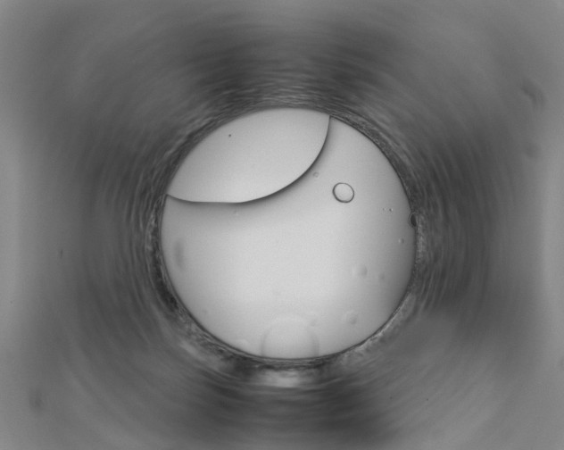 X0000112730171200908201021