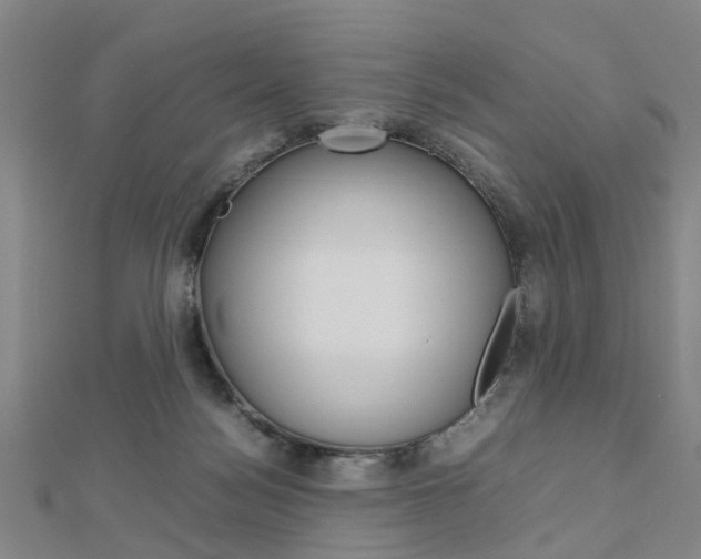 X0000112730172200908201021