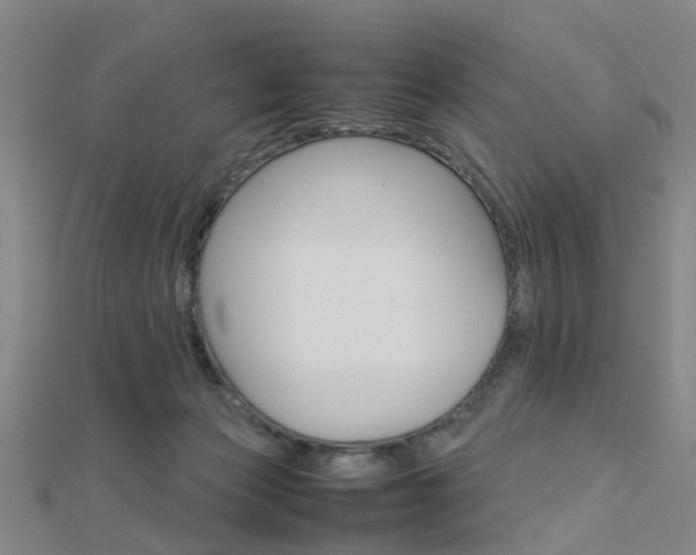 X0000112730173200908201021