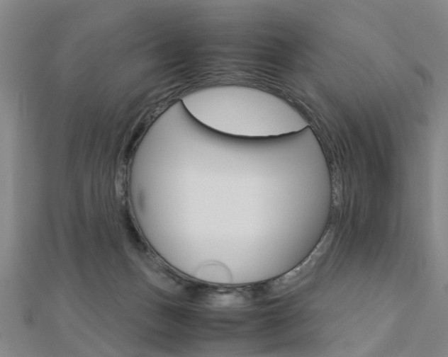 X0000112730175200908201021