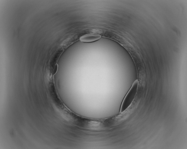 X0000112730176200908201021