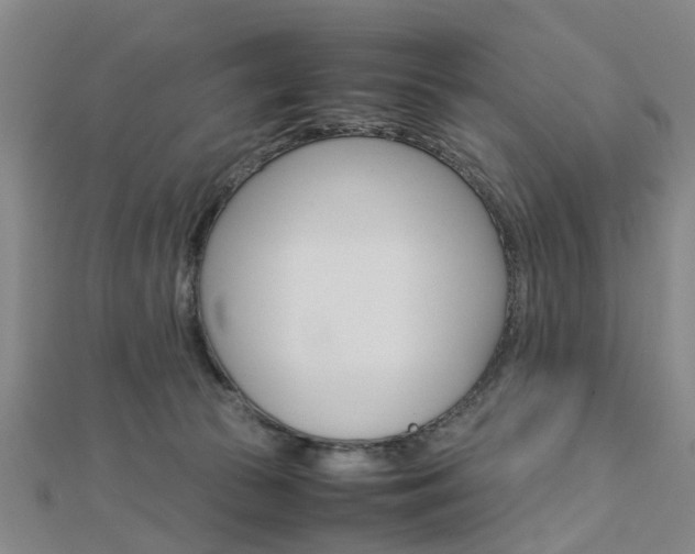 X0000112730177200908201021