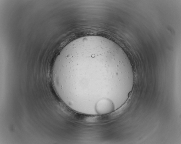 X0000112730178200908201021