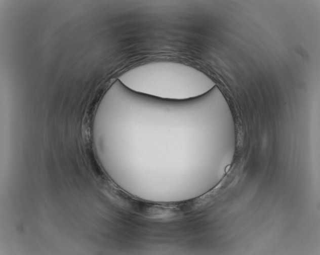 X0000112730179200908201021