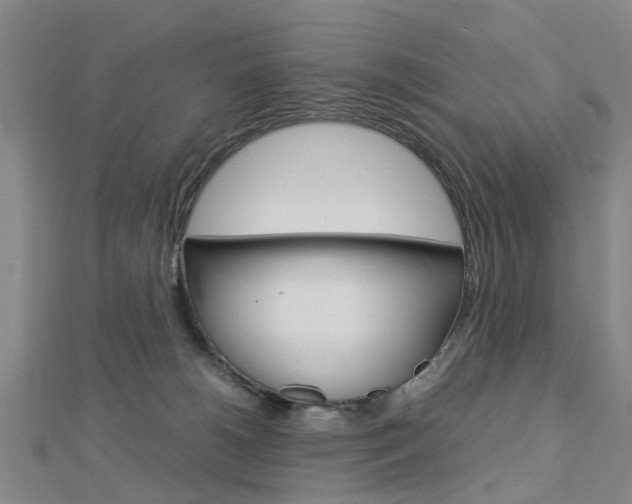 X0000112730180200908201021