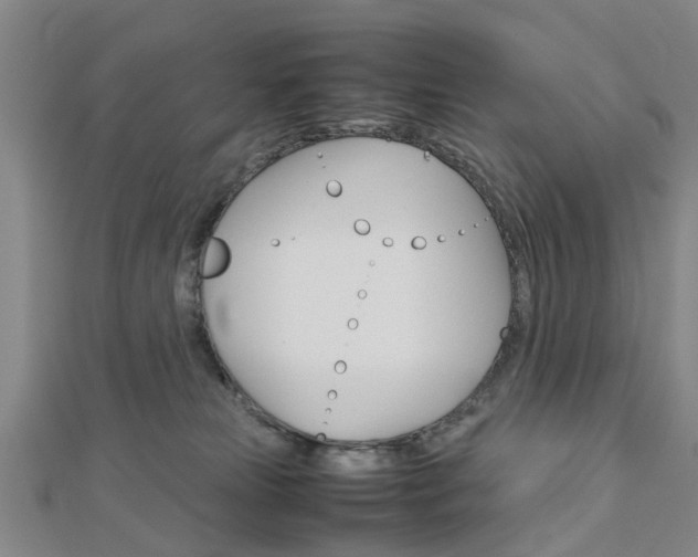 X0000112730181200908201021