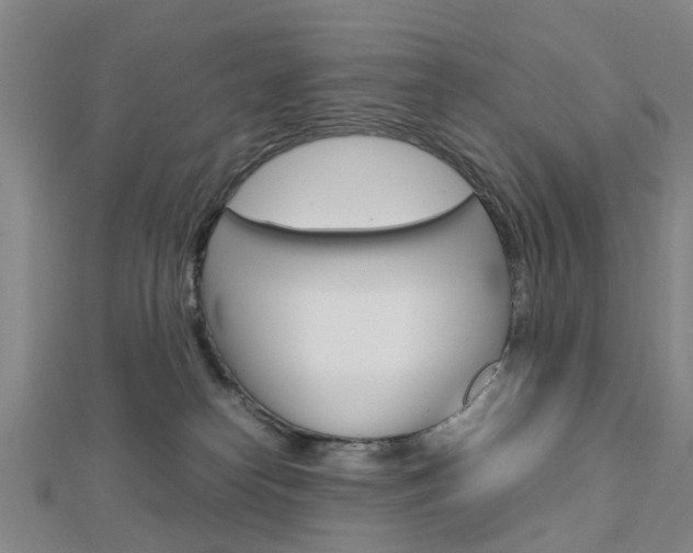 X0000112730182200908201021