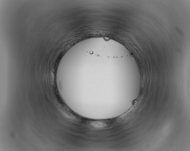 X0000112730183200908201021