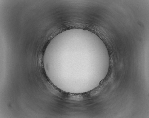 X0000112730185200908201021