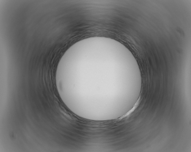 X0000112730186200908201021