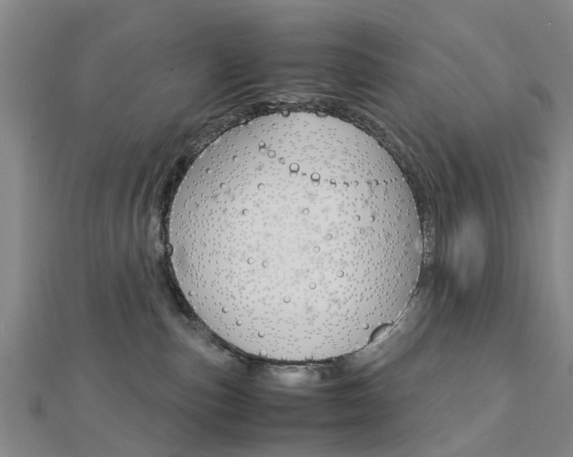 X0000112730187200908201021