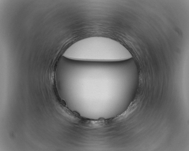 X0000112730188200908201021