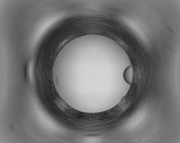 X0000112730189200908201021