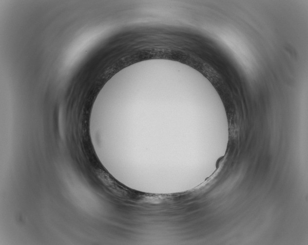 X0000112730190200908201021