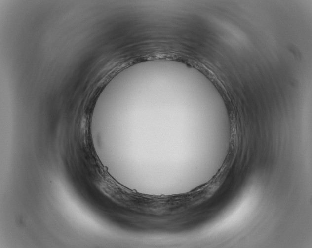 X0000112730191200908201021