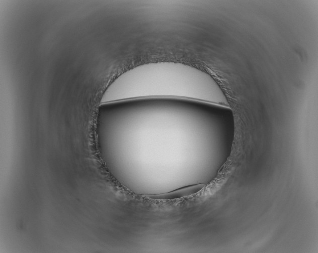 X0000112730192200908201021