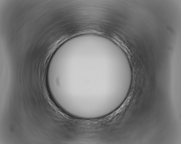 X0000112730193200908201020