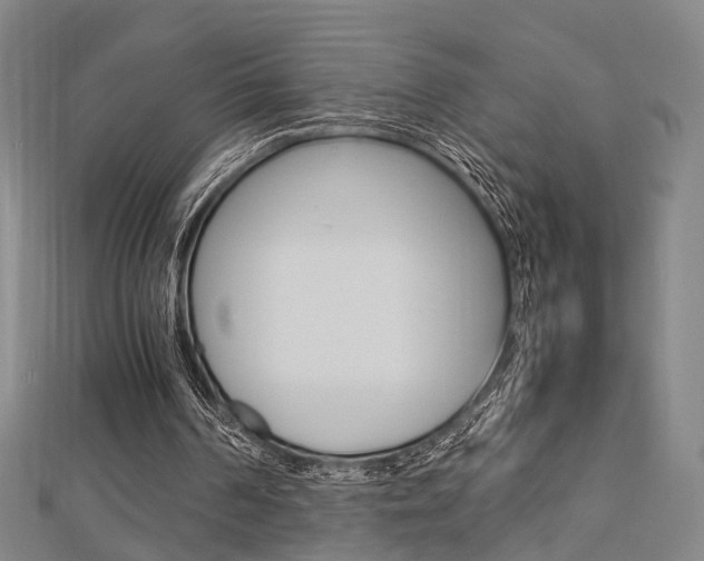 X0000112730194200908201020