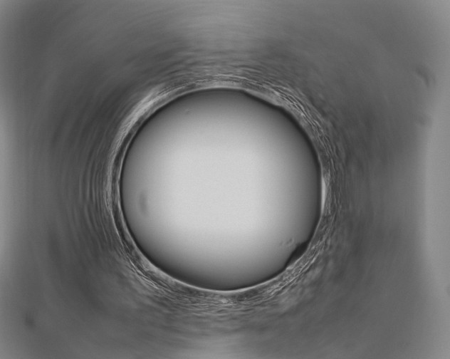 X0000112730195200908201020