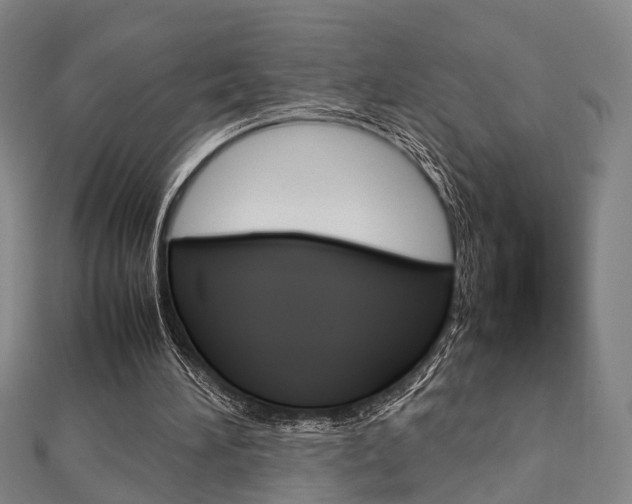 X0000112730196200908201020