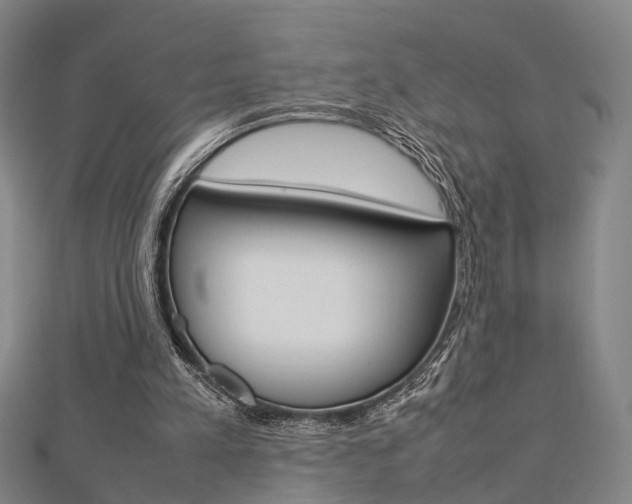 X0000112730197200908201020