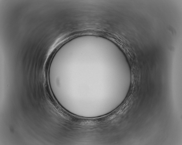 X0000112730198200908201020