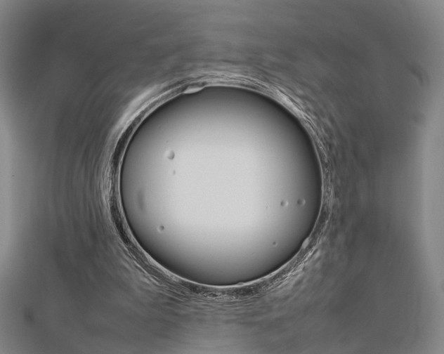 X0000112730199200908201020