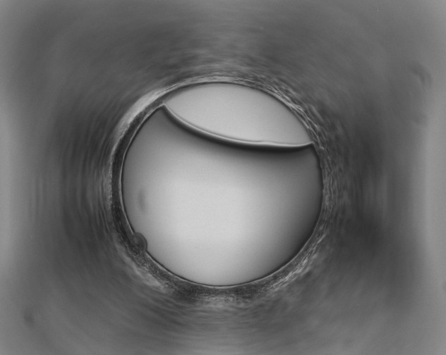 X0000112730200200908201020