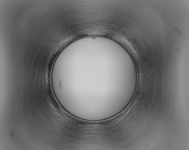 X0000112730202200908201020