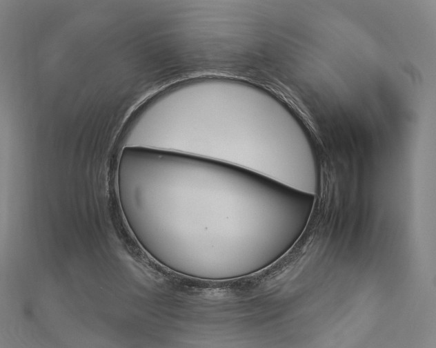 X0000112730204200908201020